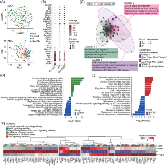 PMC11822450 – mco270092-fig-0005