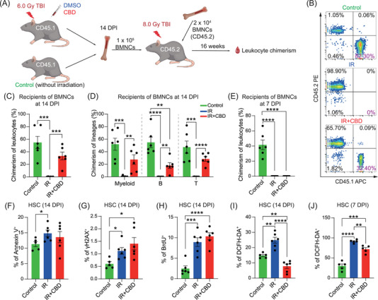 PMC11822450 – mco270092-fig-0002