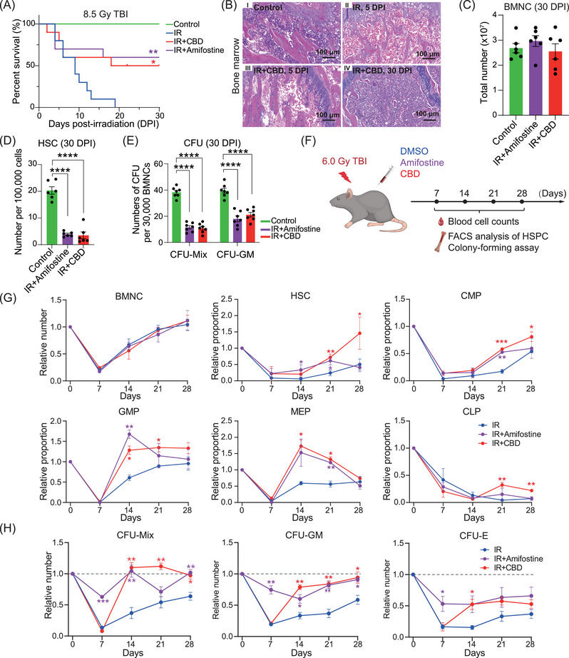 PMC11822450 – mco270092-fig-0001