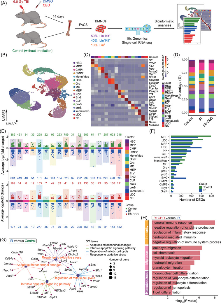 PMC11822450 – mco270092-fig-0004
