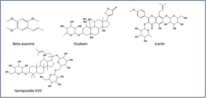 PMC12673449 – med70013-fig-0004