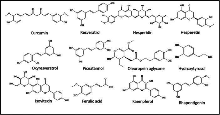 PMC12673449 – med70013-fig-0002