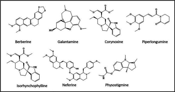 PMC12673449 – med70013-fig-0003