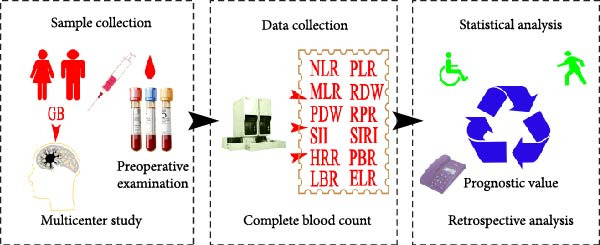 PMC12767395 – fig-0001
