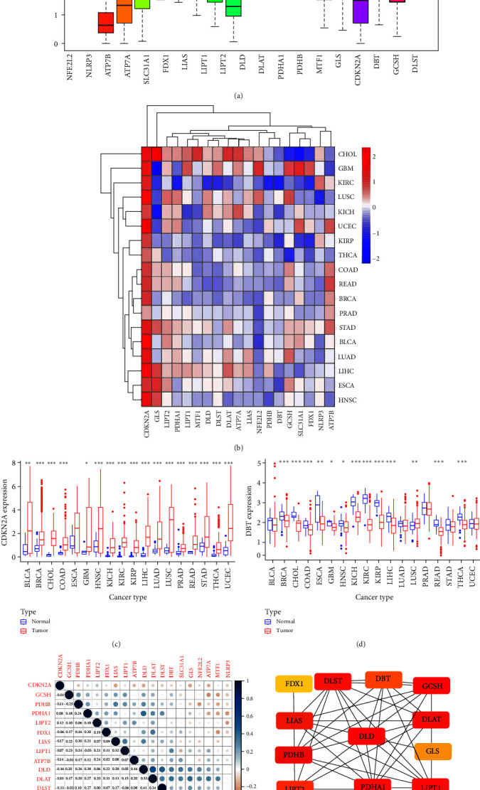 PMC10703539 – fig1
