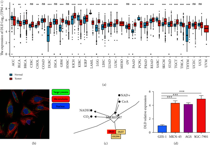 PMC10703539 – fig2