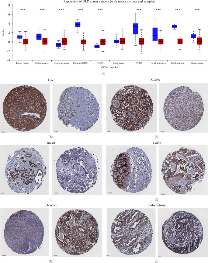 PMC10703539 – fig3