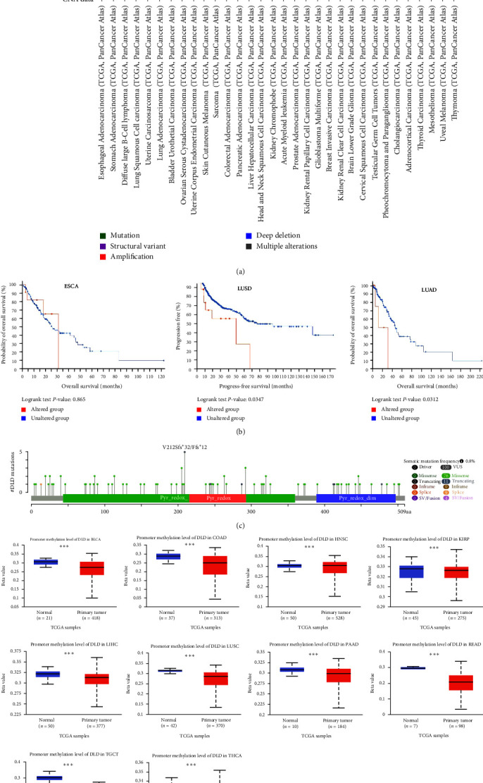 PMC10703539 – fig4