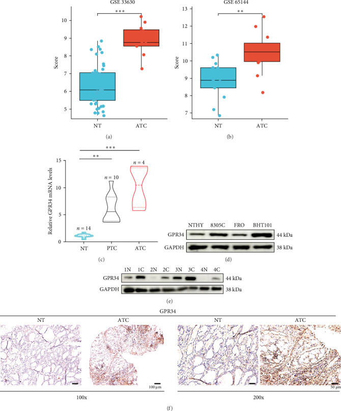 PMC12377955 – fig1
