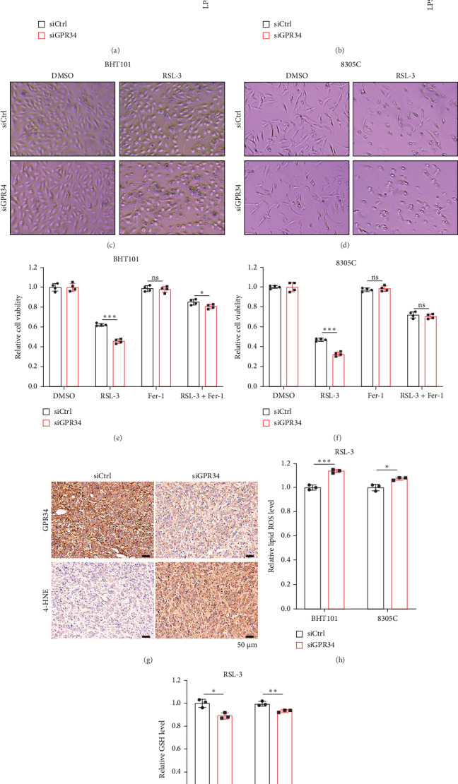 PMC12377955 – fig3