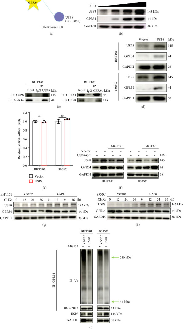 PMC12377955 – fig4