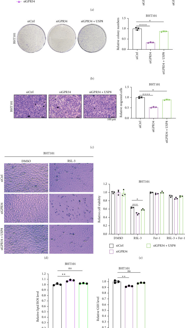 PMC12377955 – fig5