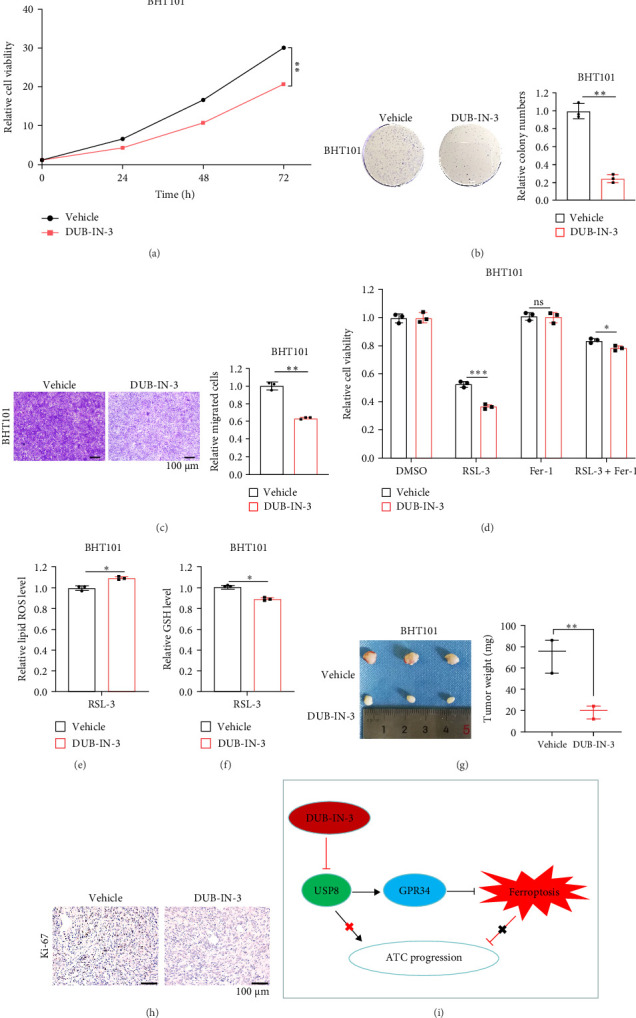 PMC12377955 – fig6