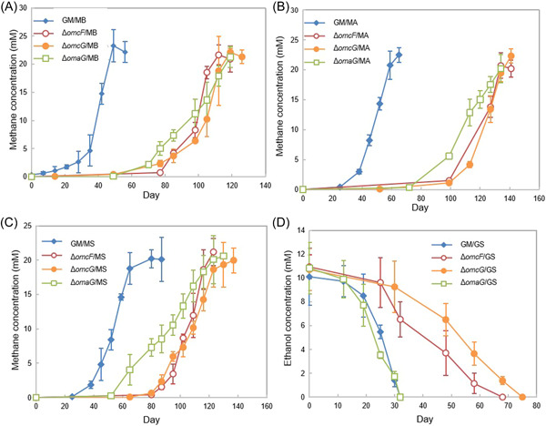 PMC10989804 – mlf212037-fig-0005