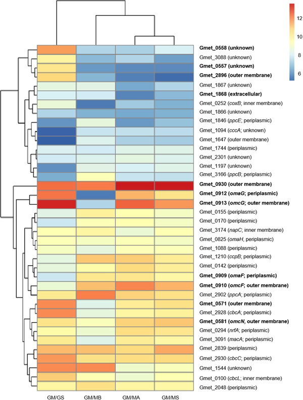 PMC10989804 – mlf212037-fig-0002