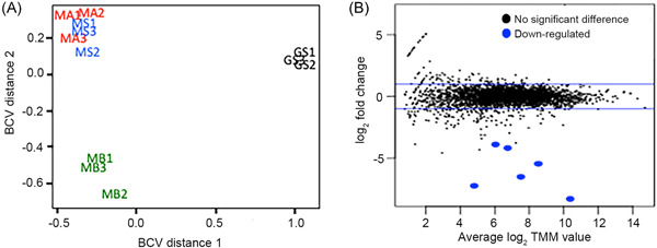 PMC10989804 – mlf212037-fig-0001