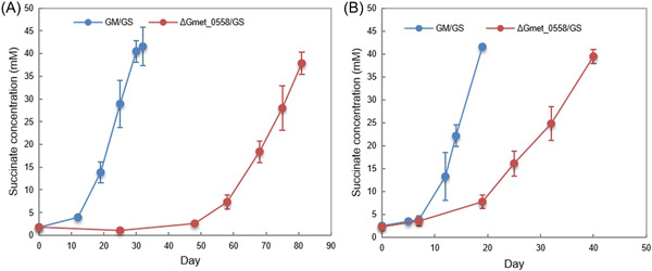 PMC10989804 – mlf212037-fig-0003