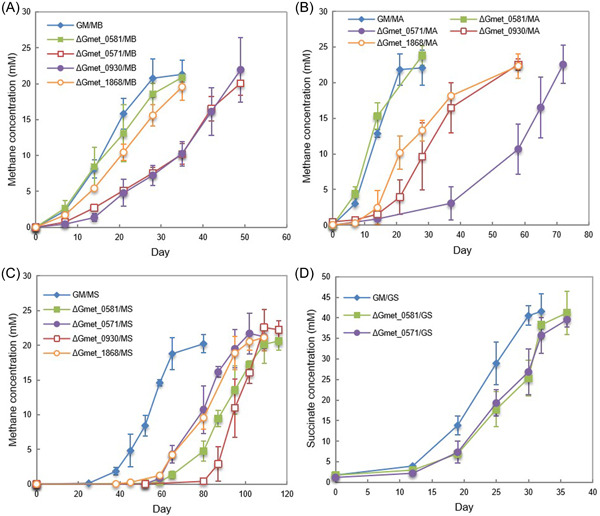 PMC10989804 – mlf212037-fig-0004