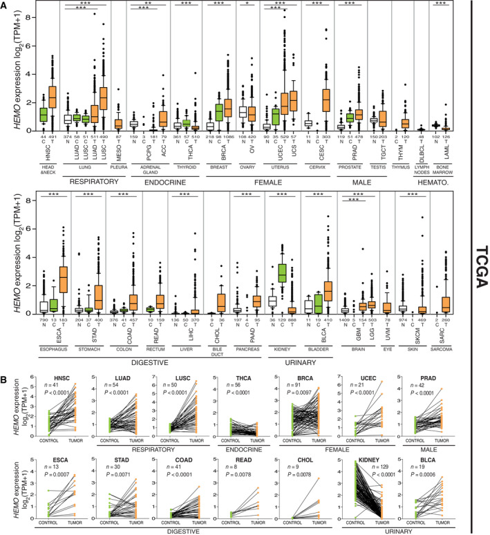 PMC8978518 – mol213069-fig-0001