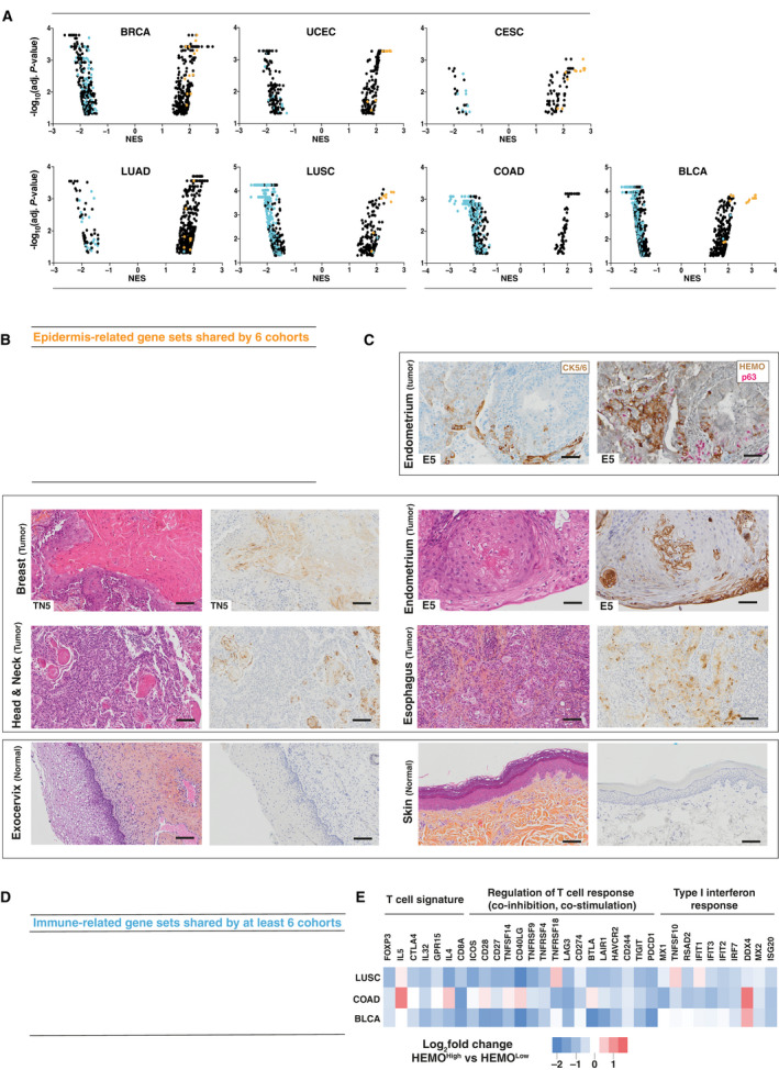 PMC8978518 – mol213069-fig-0008
