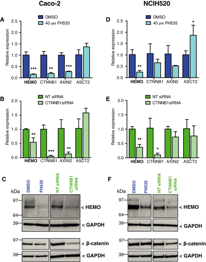 PMC8978518 – mol213069-fig-0007