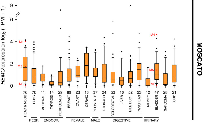 PMC8978518 – mol213069-fig-0002
