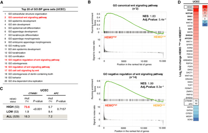 PMC8978518 – mol213069-fig-0005