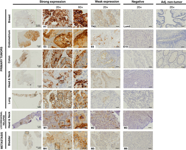 PMC8978518 – mol213069-fig-0003