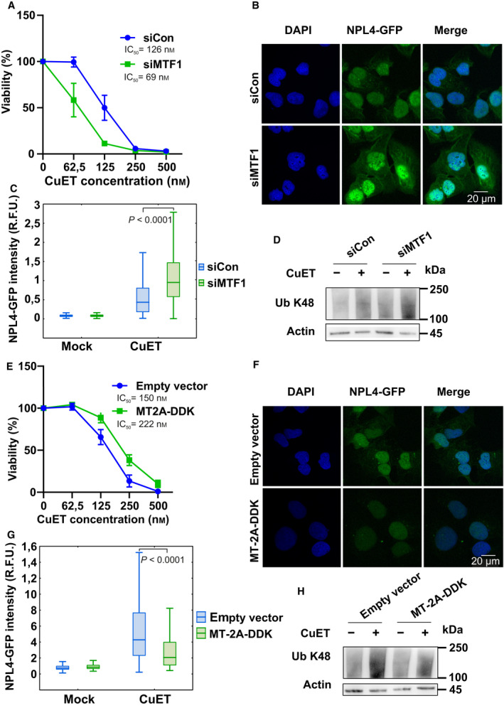 PMC8978514 – mol213114-fig-0003