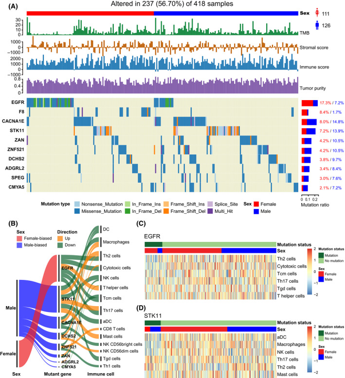 PMC9168759 – mol213203-fig-0008