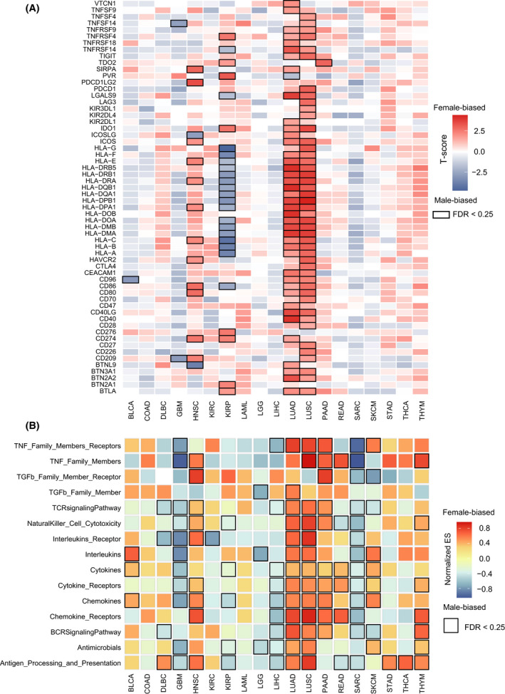 PMC9168759 – mol213203-fig-0005