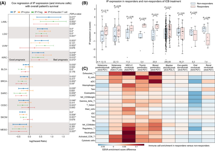 PMC10257426 – mol213443-fig-0005