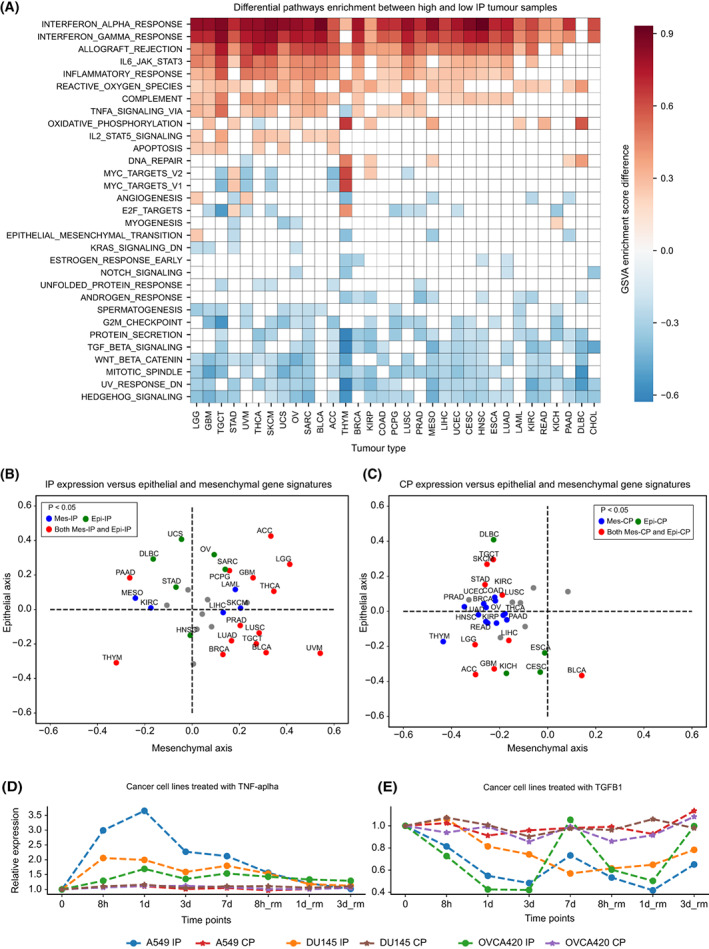 PMC10257426 – mol213443-fig-0004