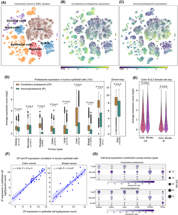 PMC10257426 – mol213443-fig-0002