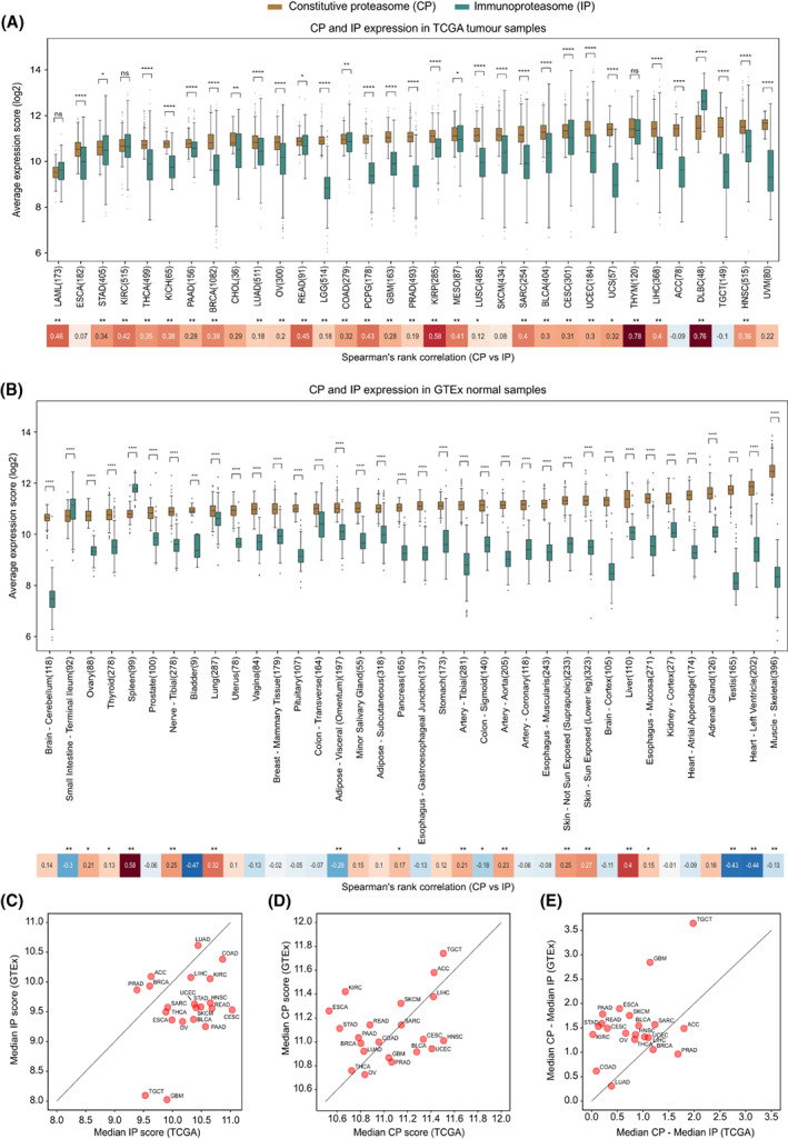 PMC10257426 – mol213443-fig-0001
