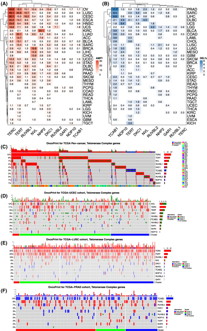 PMC9812836 – mol213324-fig-0005