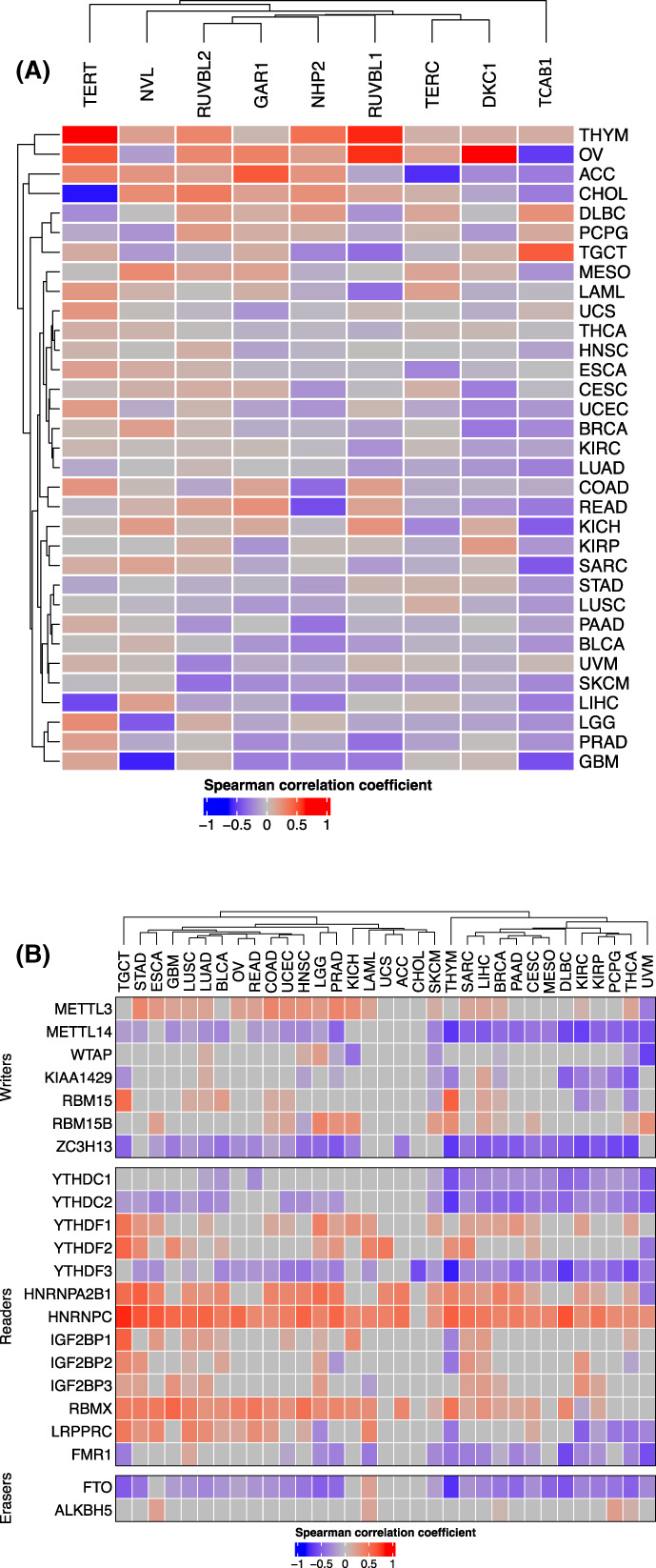 PMC9812836 – mol213324-fig-0007