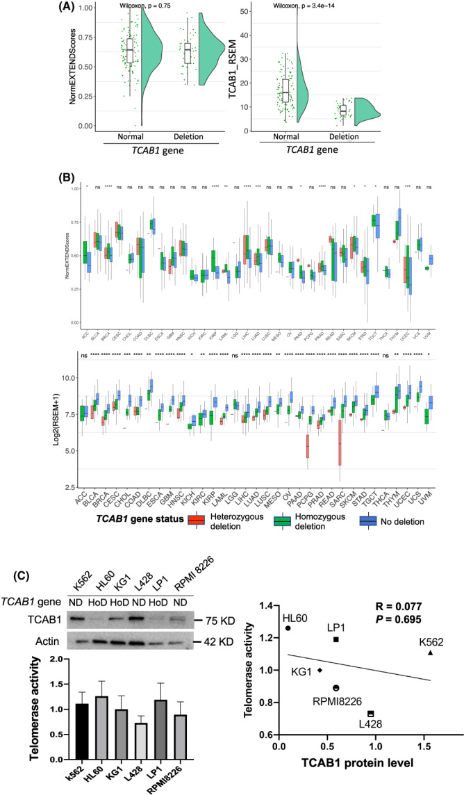 PMC9812836 – mol213324-fig-0006