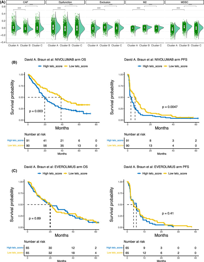 PMC9812836 – mol213324-fig-0004