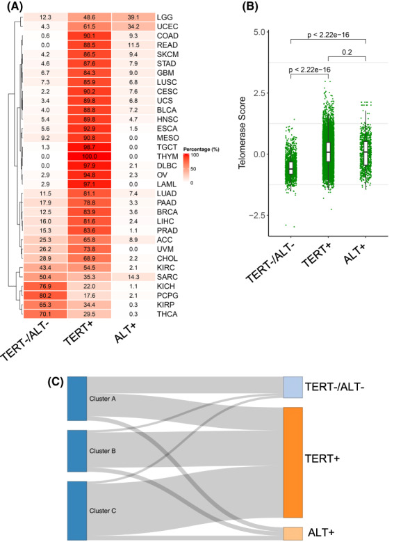 PMC9812836 – mol213324-fig-0009