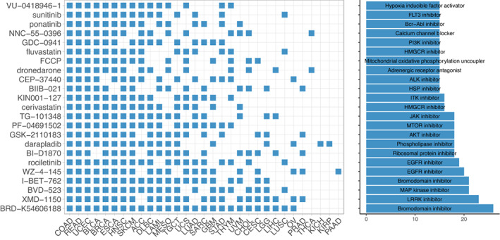 PMC9812836 – mol213324-fig-0008