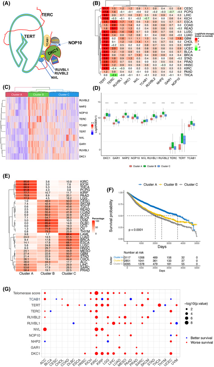 PMC9812836 – mol213324-fig-0001