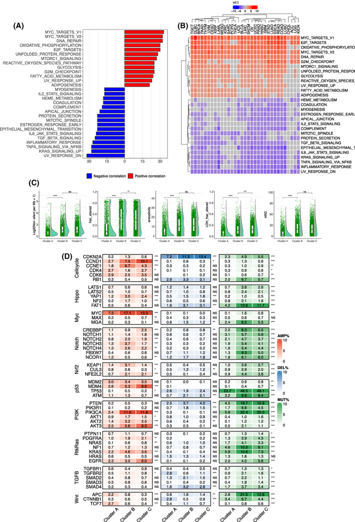 PMC9812836 – mol213324-fig-0003