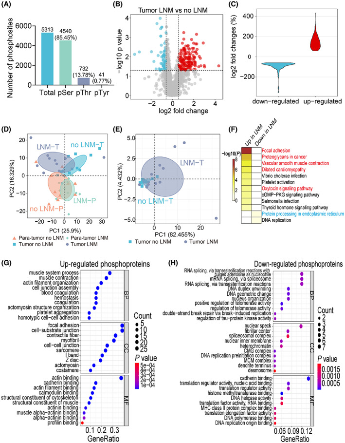 PMC9892830 – mol213361-fig-0006