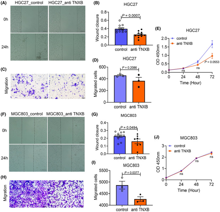 PMC9892830 – mol213361-fig-0005
