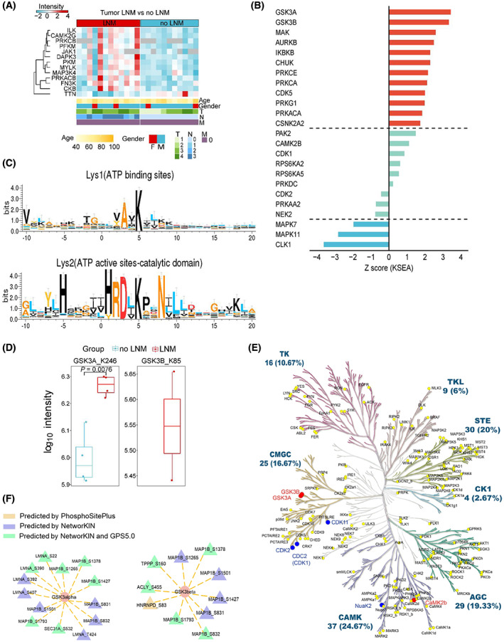 PMC9892830 – mol213361-fig-0008