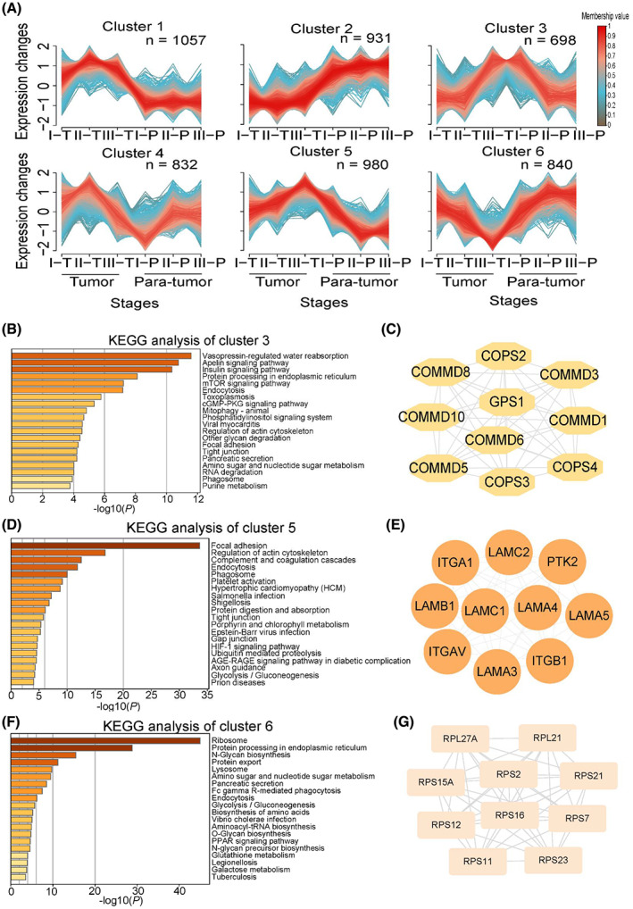 PMC9892830 – mol213361-fig-0002