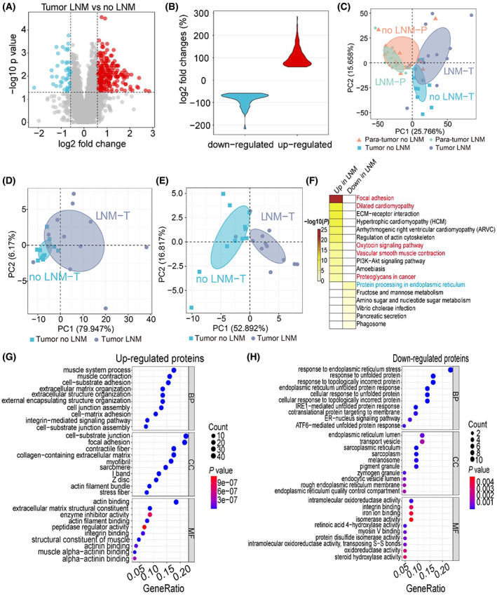 PMC9892830 – mol213361-fig-0001