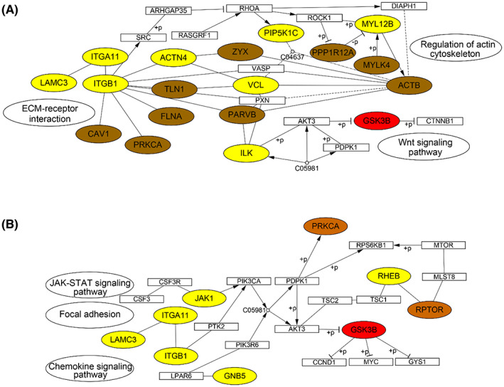PMC9892830 – mol213361-fig-0009