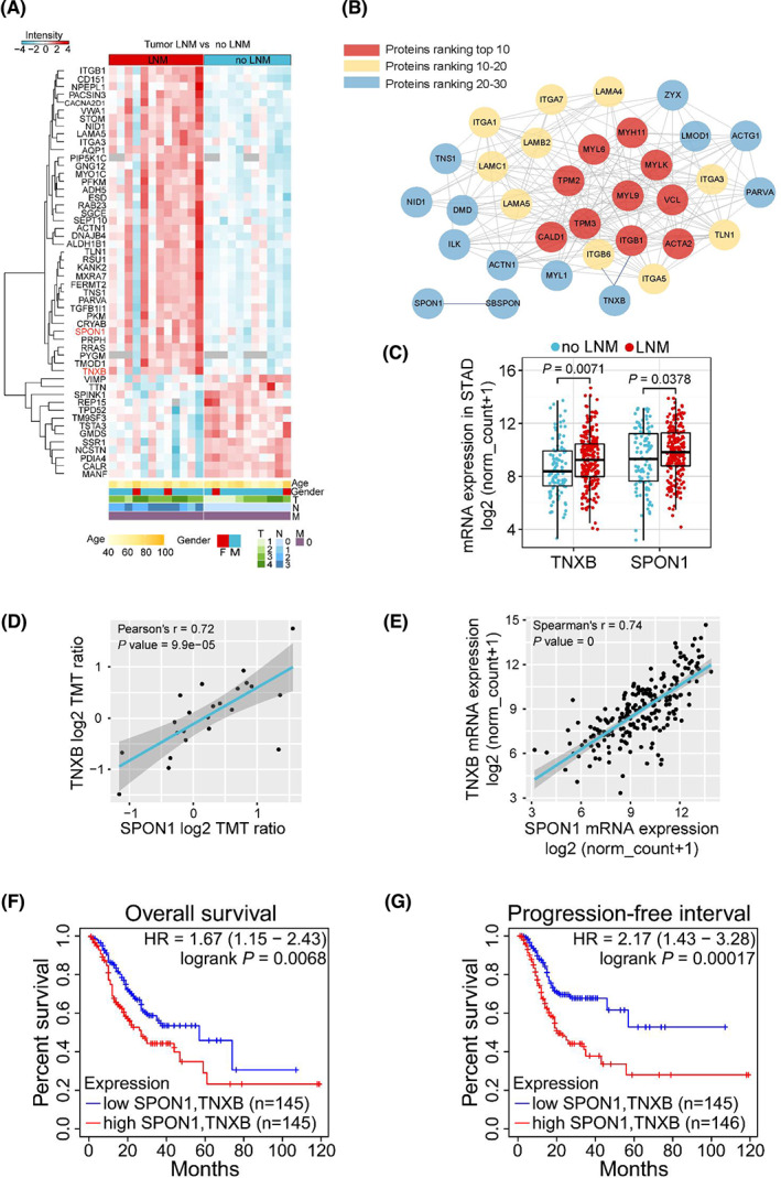 PMC9892830 – mol213361-fig-0003